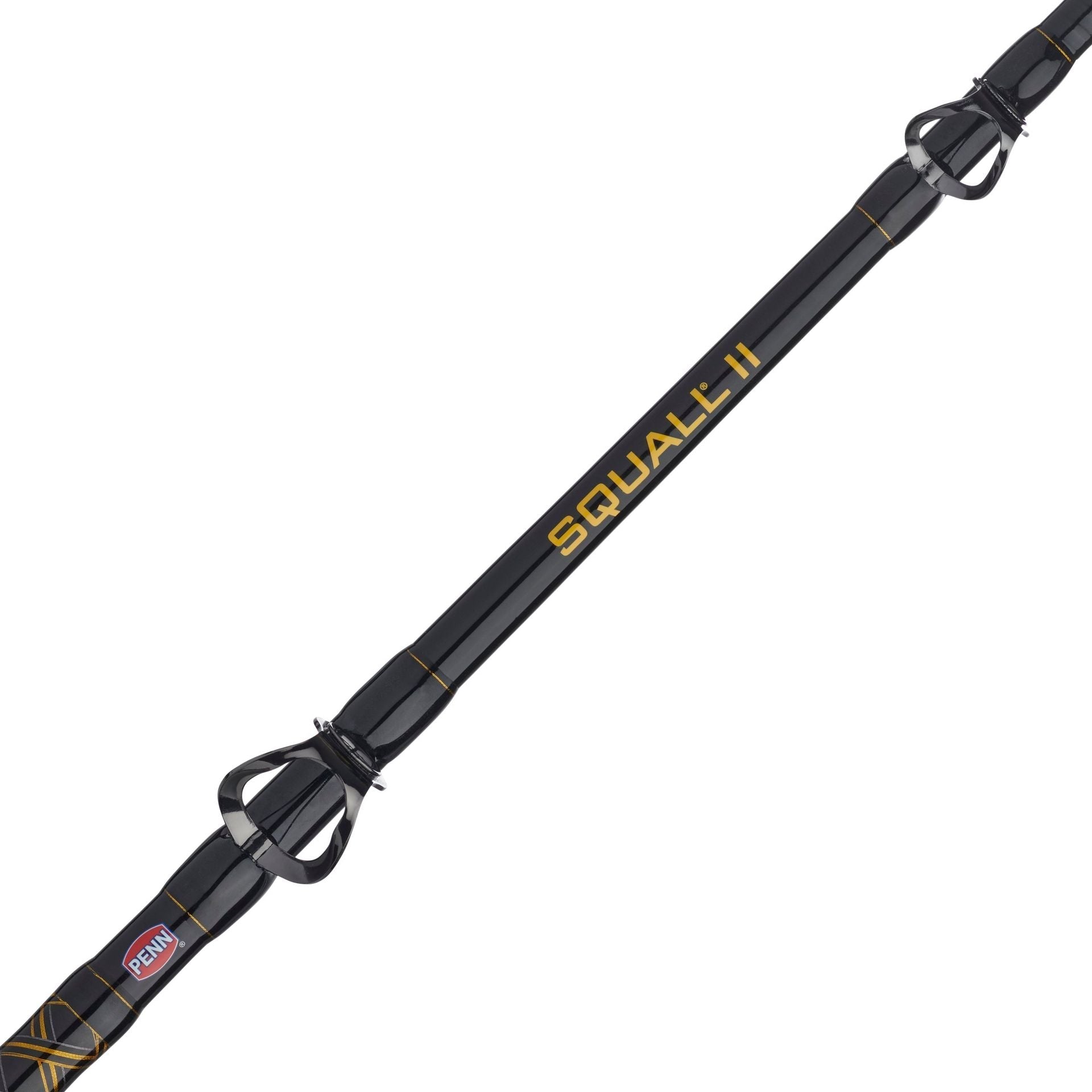 PENN Squall® II Level Wind Conventional Rod & Reel Combo