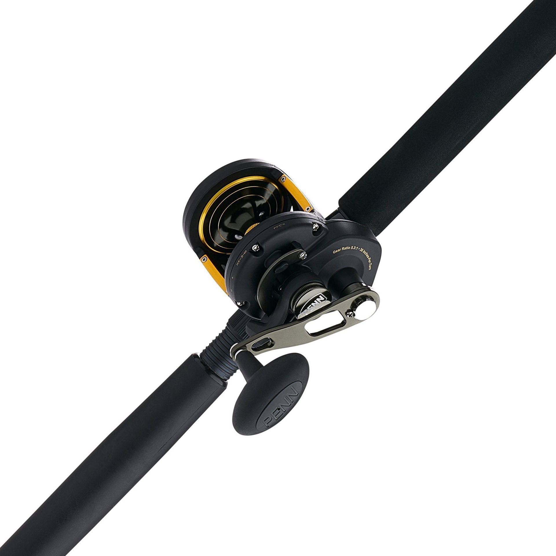 PENN Squall® II Lever Drag Conventional Rod & Reel Combo