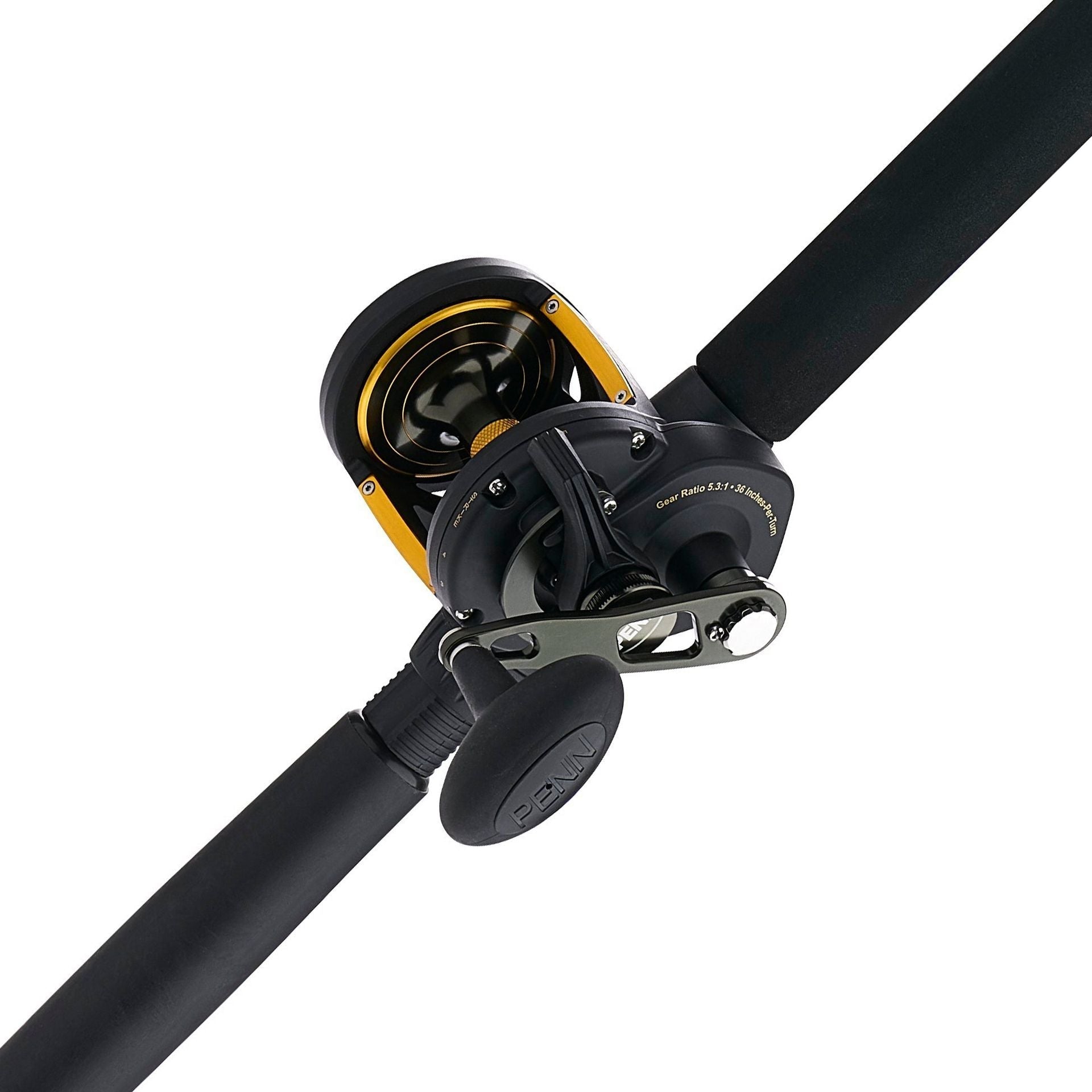 PENN Squall® II Lever Drag Conventional Rod & Reel Combo