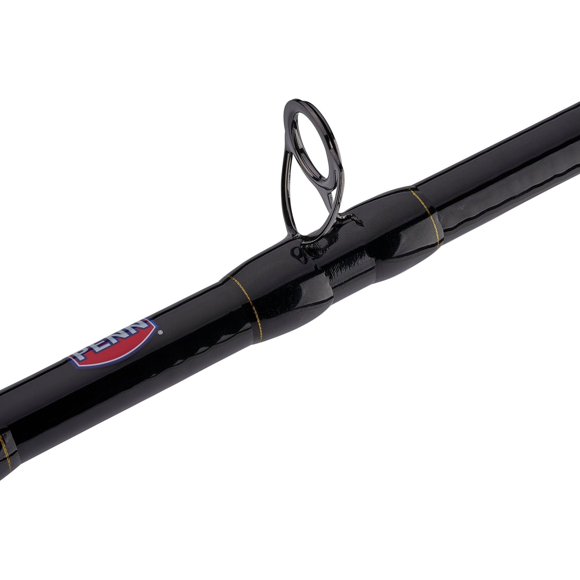 PENN Squall® II Lever Drag Conventional Rod & Reel Combo
