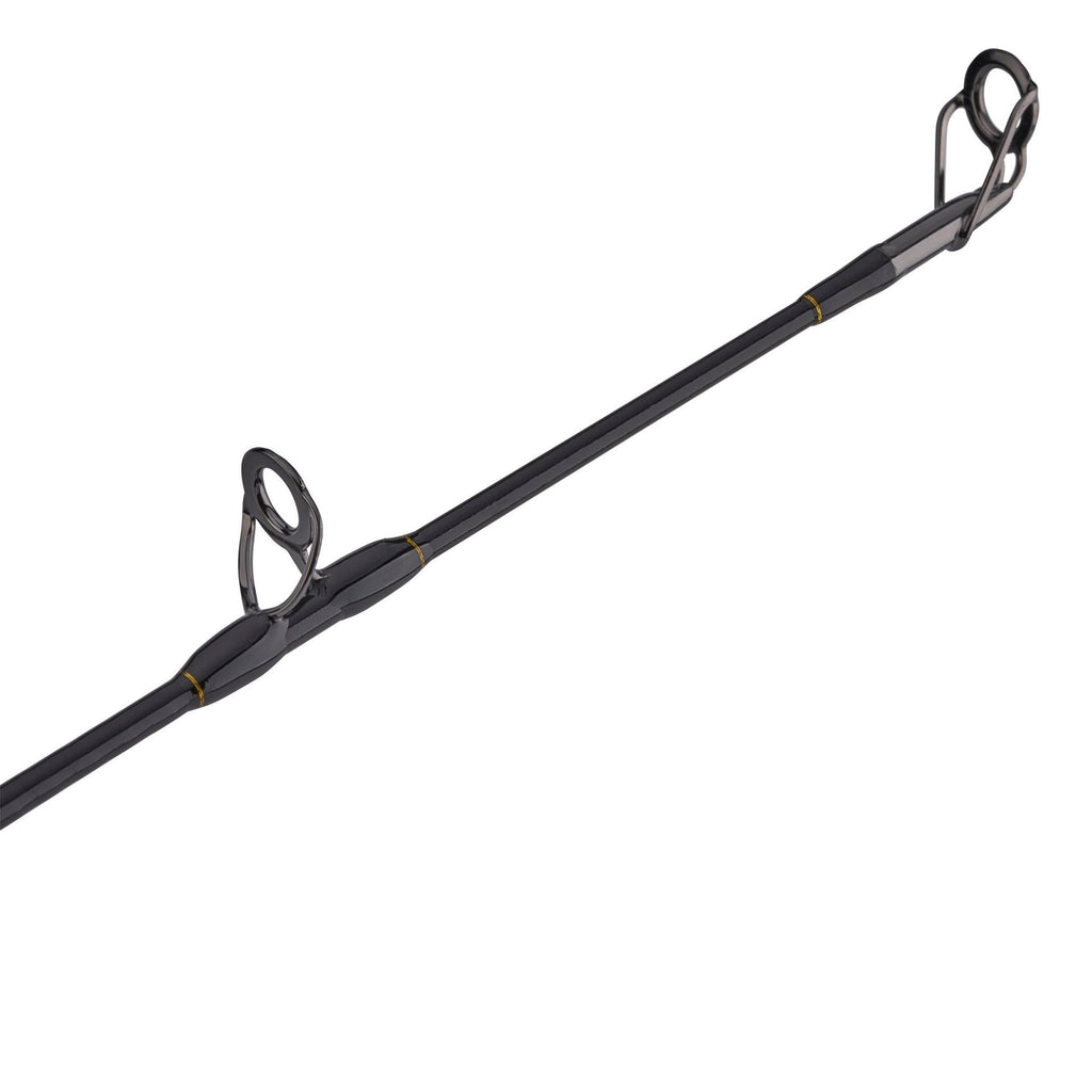 PENN Squall® II Lever Drag Conventional Rod & Reel Combo