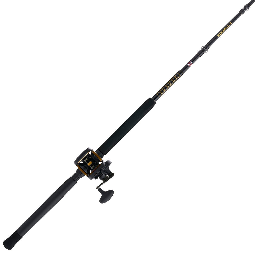 PENN Squall® II Lever Drag Conventional Rod & Reel Combo