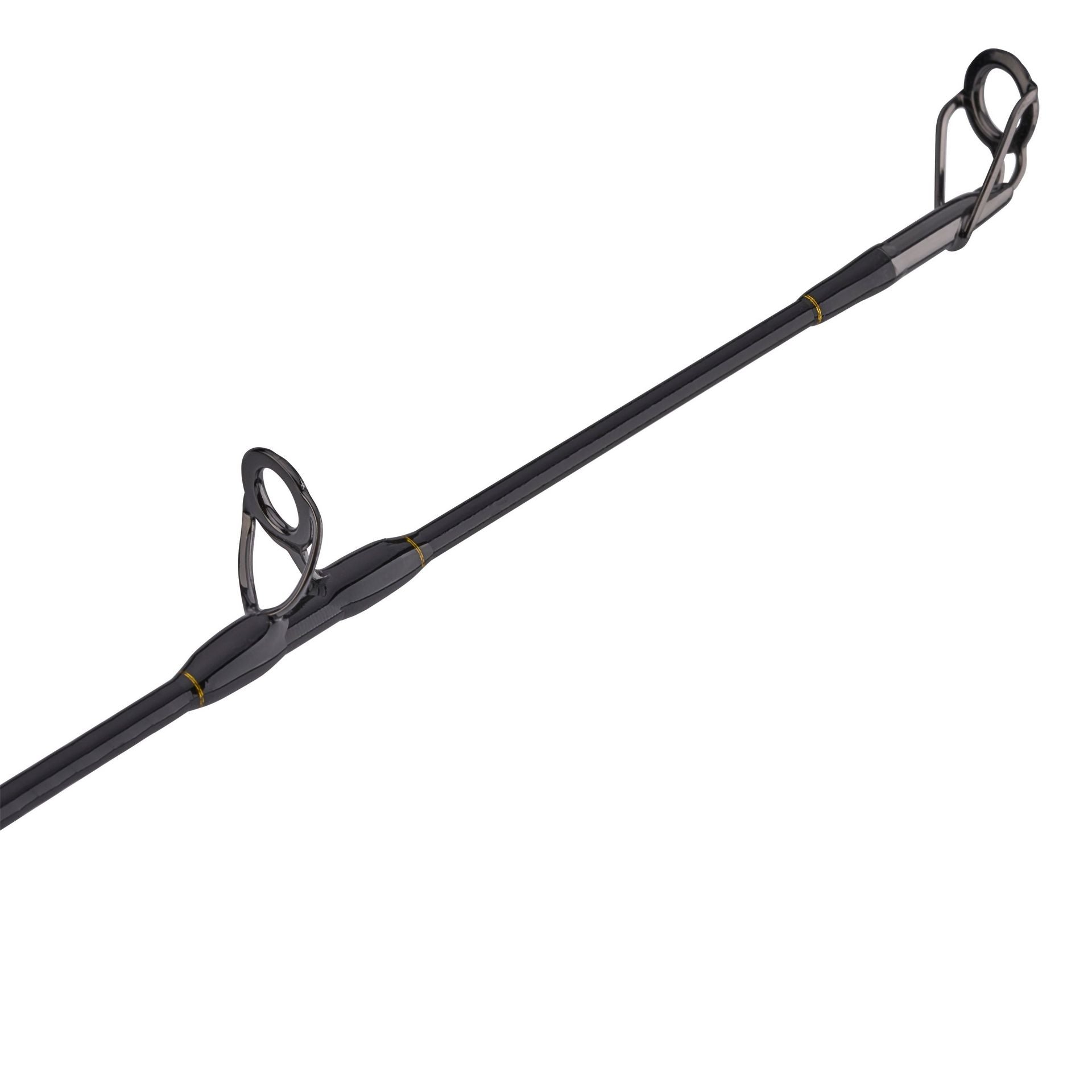 PENN Squall® II Lever Drag Conventional Rod & Reel Combo