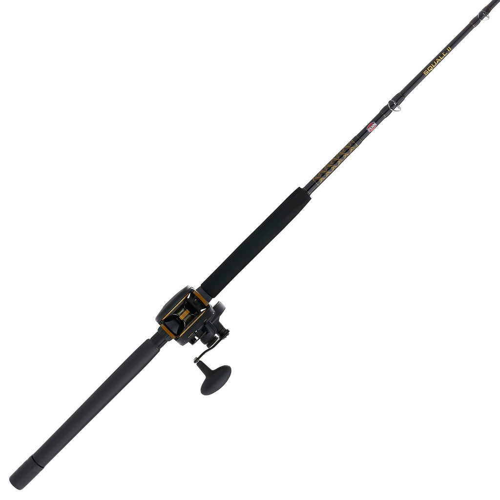 PENN Squall® II Lever Drag Conventional Rod & Reel Combo