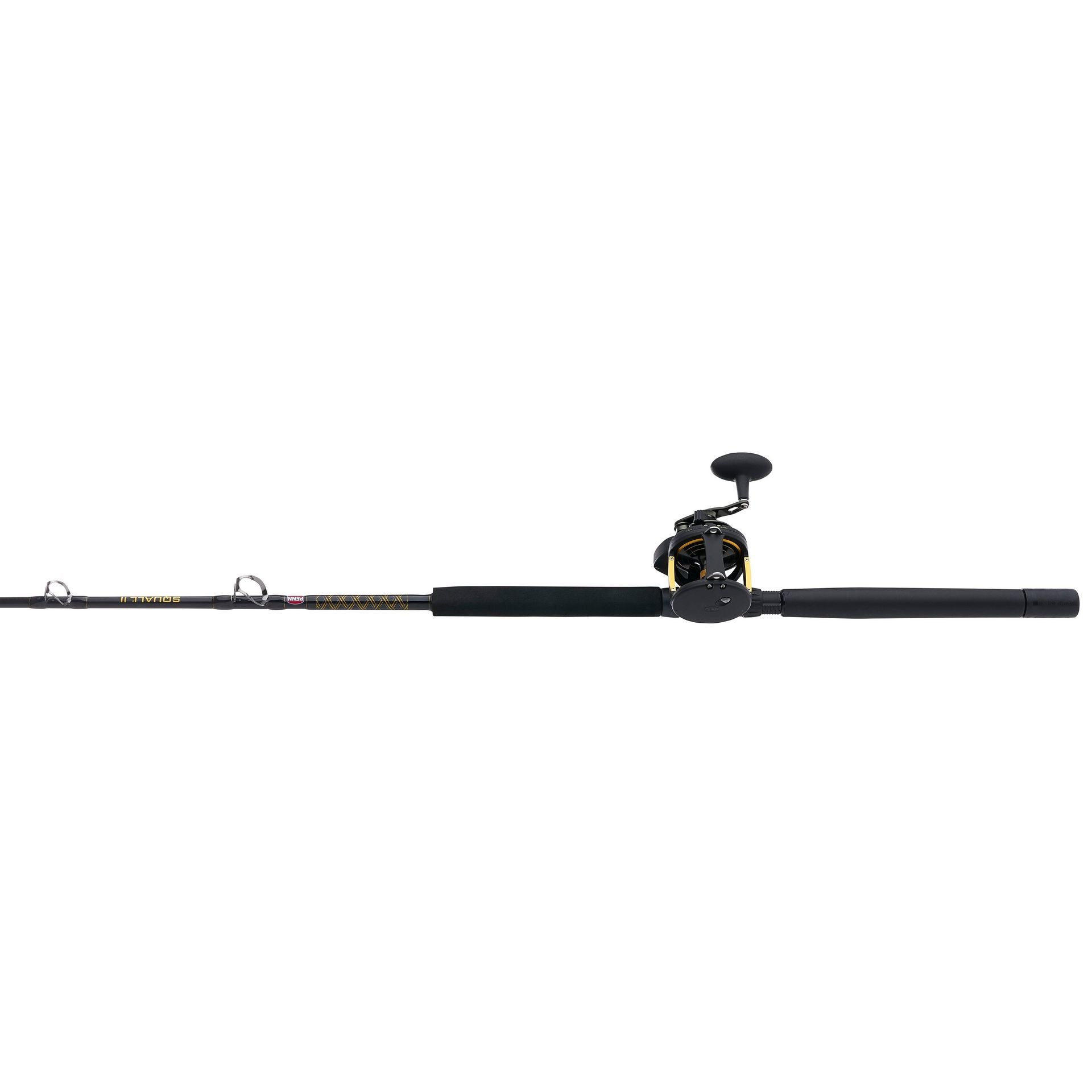 PENN Squall® II Lever Drag Conventional Rod & Reel Combo