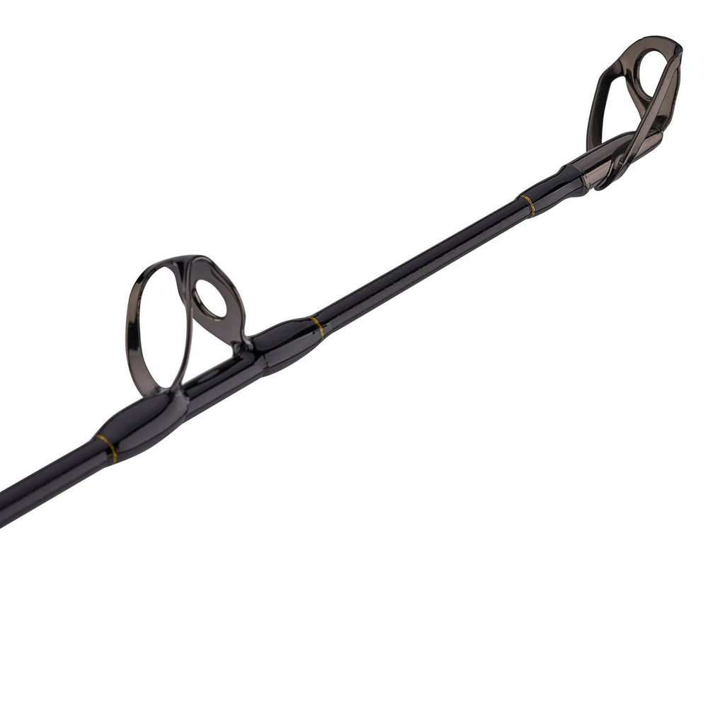 PENN Squall® II Lever Drag Conventional Rod & Reel Combo