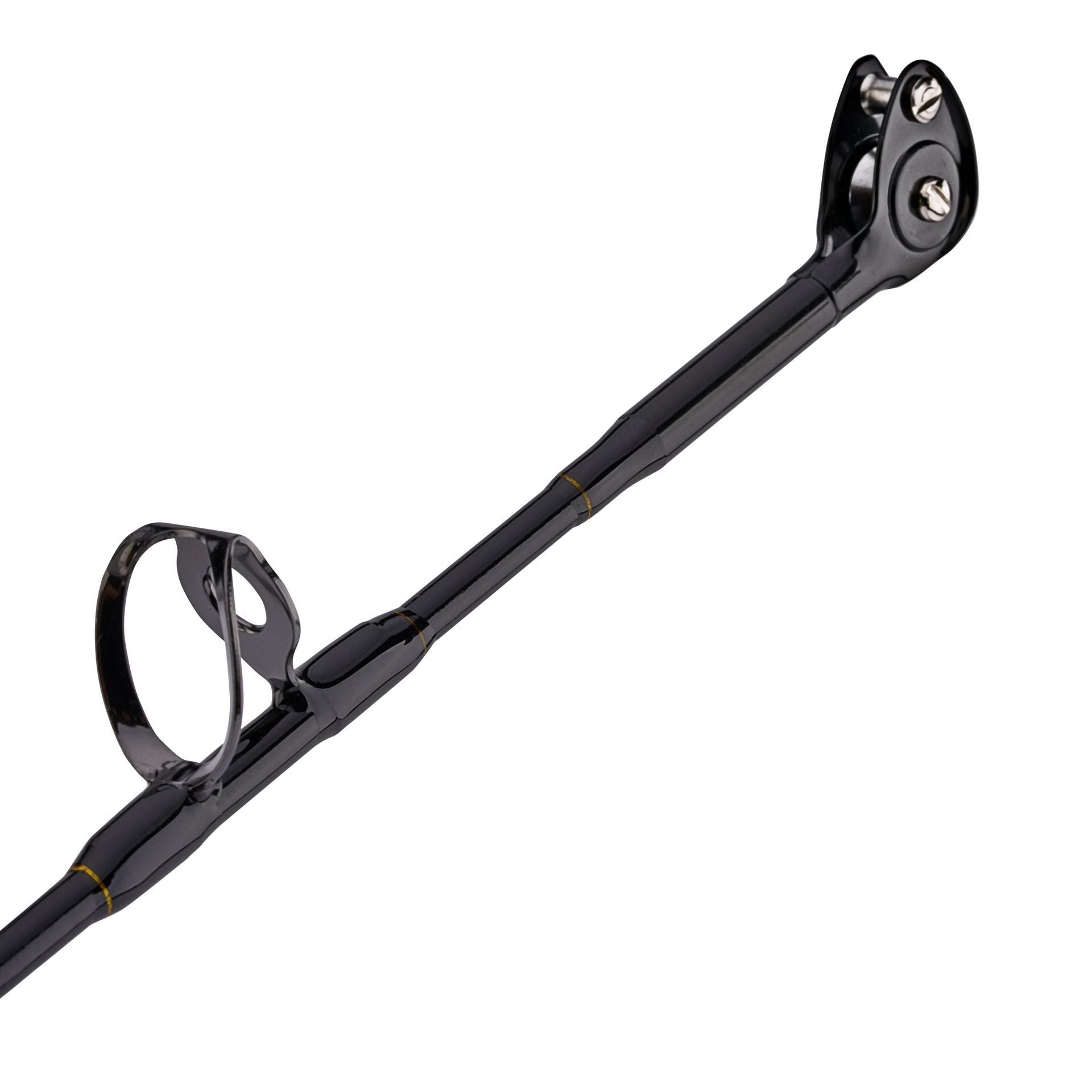 PENN Squall® II Lever Drag Conventional Rod & Reel Combo