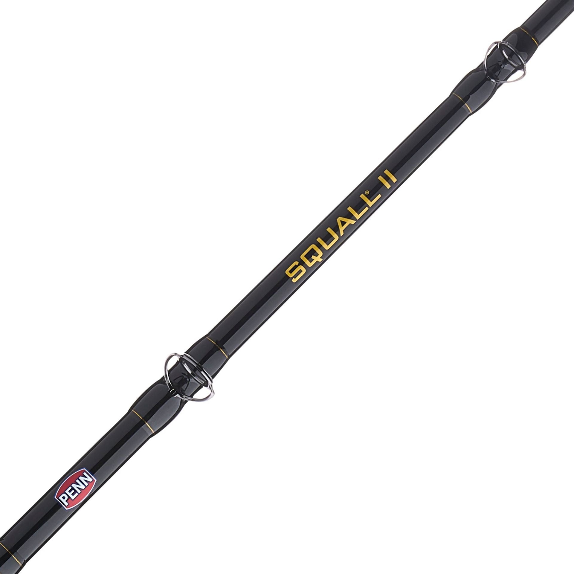 PENN Squall® II Lever Drag Conventional Rod & Reel Combo