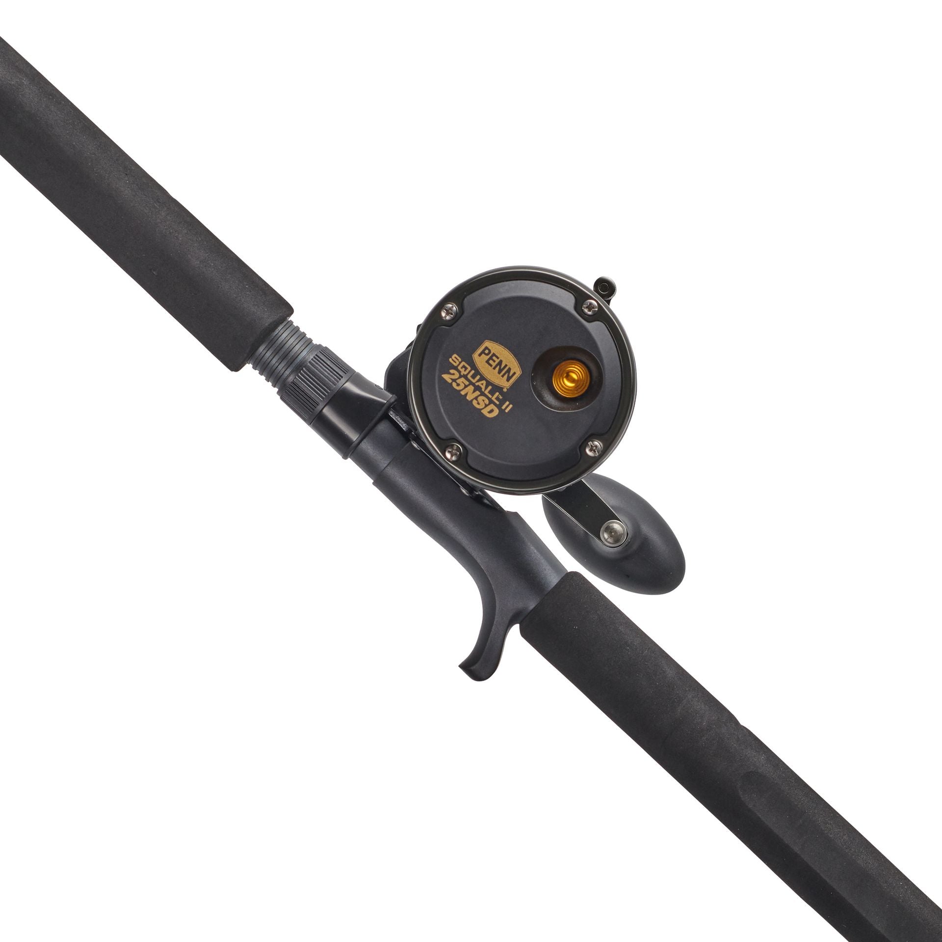 PENN Squall® II Star Drag Conventional Rod & Reel Combo