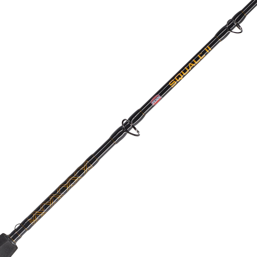 PENN Squall® II Star Drag Conventional Rod & Reel Combo