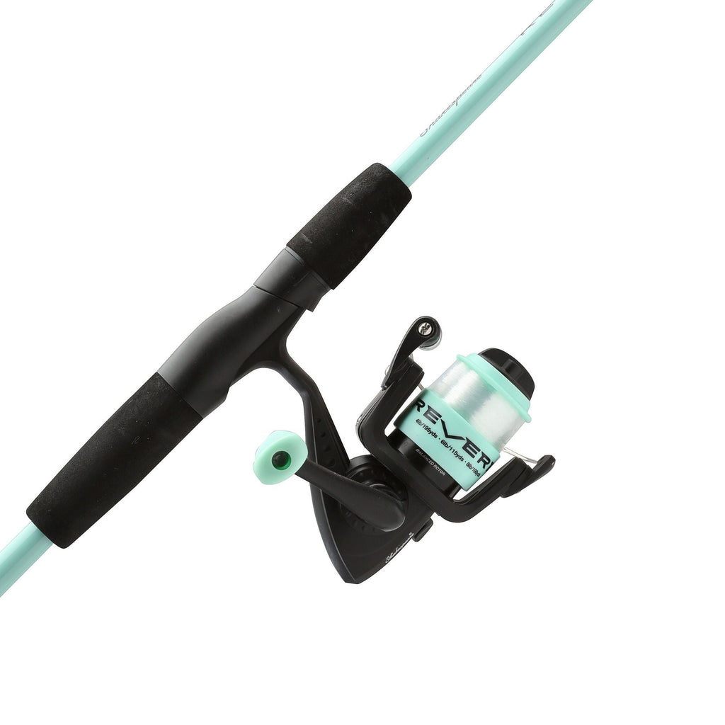 Shakespeare Reverb Spinning Combo